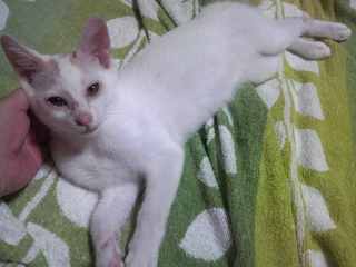 2013081915130002.jpg