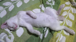 2013081915150000.jpg