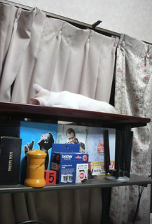 2013082100270000.jpg