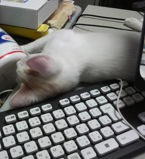 2013082113430000.jpg