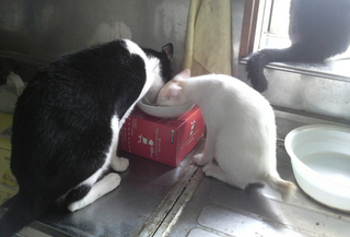 2013082115440000.jpg