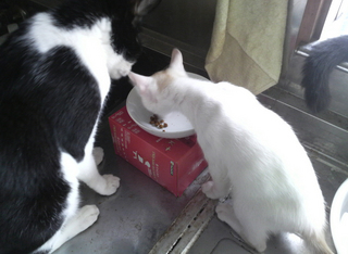 2013082115450001.jpg