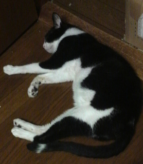 2013090517480000.jpg