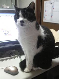 2013092704090001.jpg