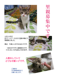 里親募集アールグレイ1.jpg